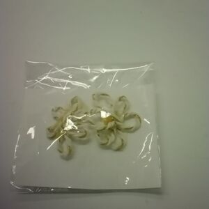 Lorena Espinoza Design Gold Earrings